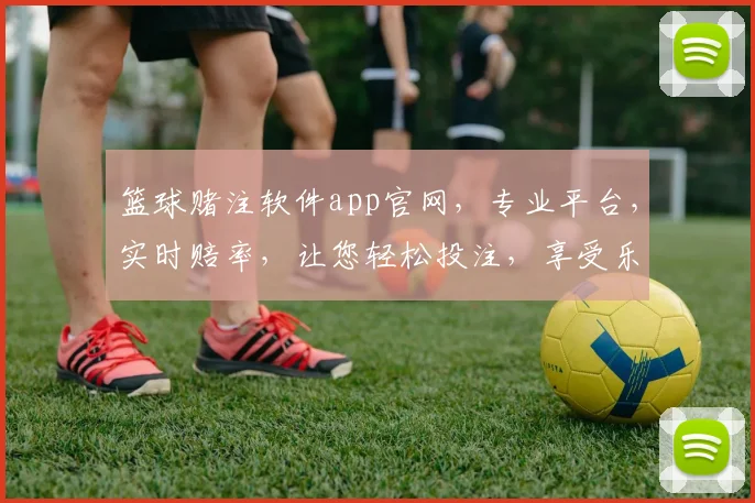 篮球赌注软件app官网，专业平台，实时赔率，让您轻松投注，享受乐趣，赢取大奖