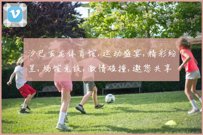 沙巴玄龙体育馆,运动盛宴,精彩纷呈,场馆竞技,激情碰撞,邀您共享