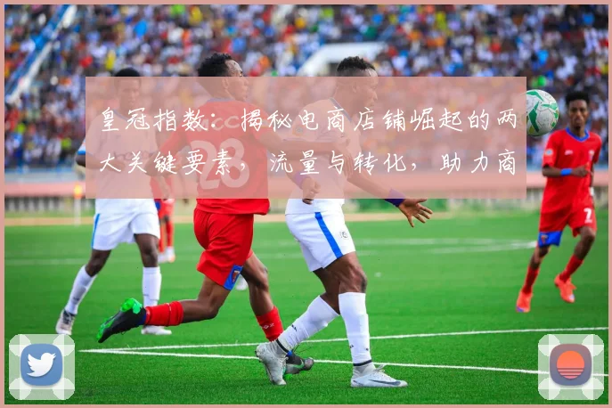 皇冠指数：揭秘电商店铺崛起的两大关键要素，流量与转化，助力商家腾飞