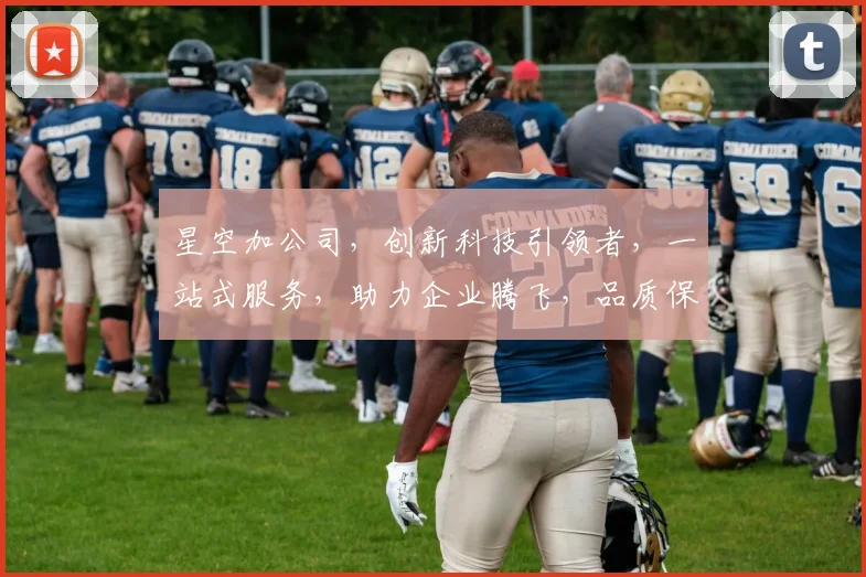 星空加公司，创新科技引领者，一站式服务，助力企业腾飞，品质保障，共赢未来三步走